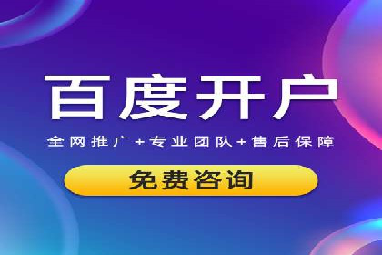 SEM代运营公司案例分析报告
